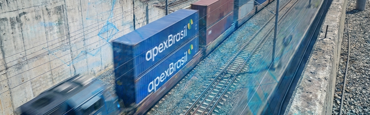Brazil’s Logistics Transformation: Expanding Opportunities for Global Investors