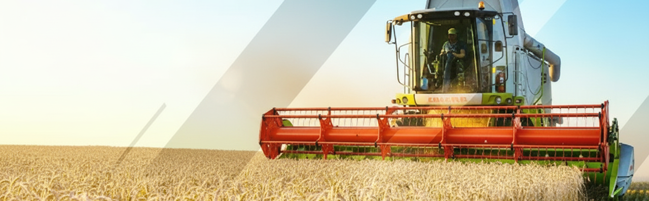 Brazil’s Agribusiness: A Global Powerhouse in Sustainable Food Production 